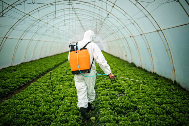Best Pest Removal Services  in Twinsburg Heights, OH