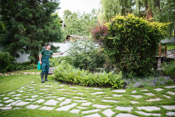 Trusted Twinsburg Heights, OH Pest Control Experts