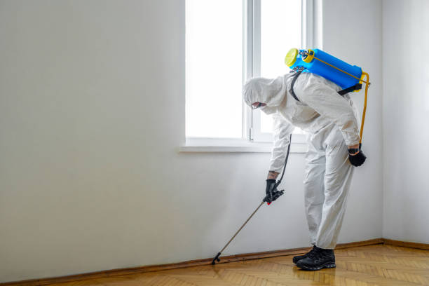 Pest Control Cost in Twinsburg Heights, OH