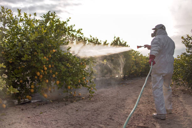 Best Best Pest Control Near Me  in Twinsburg Heights, OH