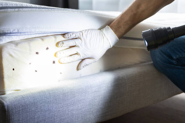 Best Pest Control Near Me in Twinsburg Heights, OH