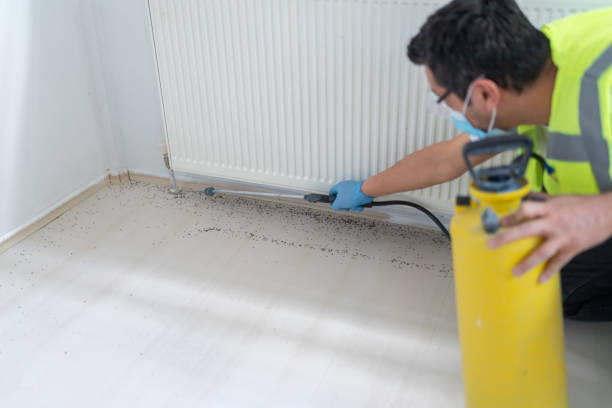 Best Affordable Pest Control Services  in Twinsburg Heights, OH